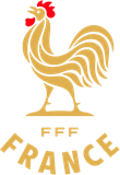 Fédération française de football